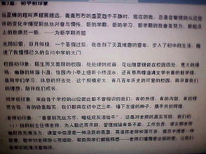 校園新印象作文300