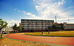 我愛校園的秋天作文500字