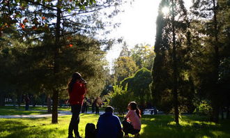 校園中最難忘的事作文300字作文