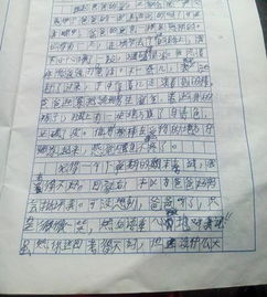 校園的滋味400字作文600字作文怎么寫