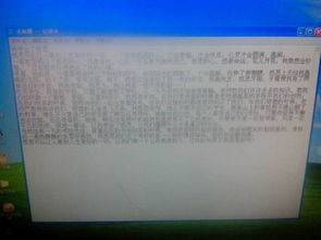 寫校園的雪松的作文題目