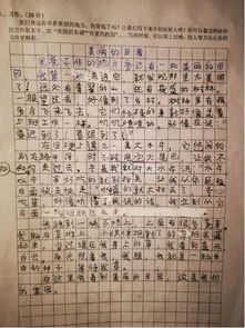 校園撿垃圾作文400字,找一篇校園撿垃圾的作文,校園撿垃圾作文怎么寫700字