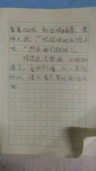 我周?chē)男@環(huán)境作文小學(xué)