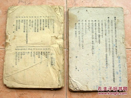 特殊的時(shí)期,特殊的我們作文,特殊時(shí)期的收獲作文,特殊時(shí)期特殊陪伴作文