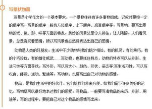 校園的一角我的最愛作文200字