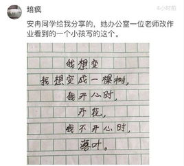 作文,寫一篇,校園環(huán)境