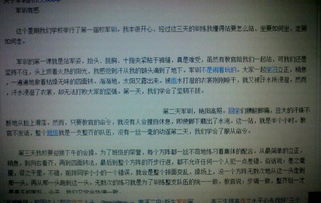 作文,文化節(jié),寫一篇,校園