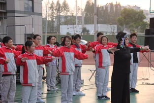 戲曲進校園作文高中