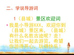 我是,作文,課件,導(dǎo)游