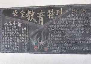 平安校園行作文300字作文