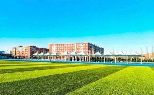 多姿多彩的校園生活作文六百450字,多姿多彩的校園生活作文你六百,多姿多彩的校園生活作文500字