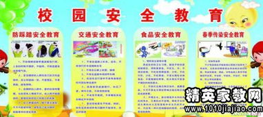 初中校園安全教育心得體會500字作文