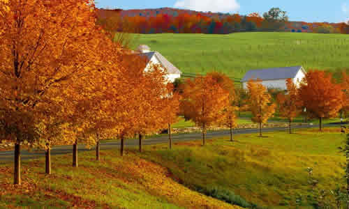 校園秋天的風景作文600字