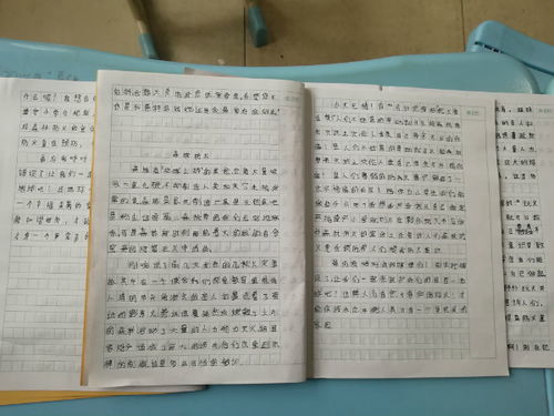 森林防火校園控煙作文內容