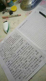 關(guān)于校園運(yùn)動(dòng)會(huì)的新聞作文