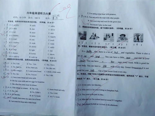 詢問(wèn)對(duì)方校園英語(yǔ)作文