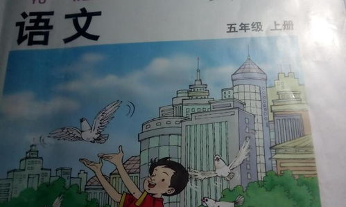 關(guān)于校園的一遍作文四上冊