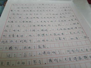 我心中的平安校園作文500字,我心中的中學生活作文,我心中的文昌中學作文