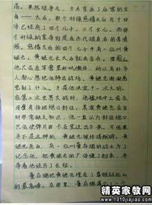 關(guān)于元旦校園運(yùn)動(dòng)會(huì)的作文300字