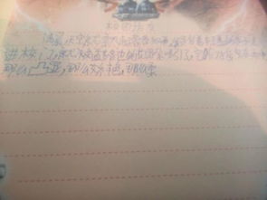 作文校園訪友450字.