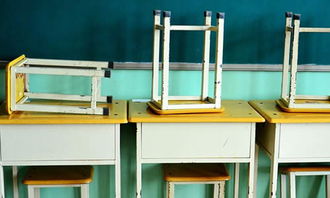 初中校園二三事作文800字作文