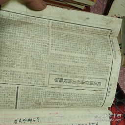 關(guān)于三中校園作文600字