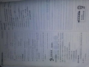 學(xué)校校園校規(guī)英語作文