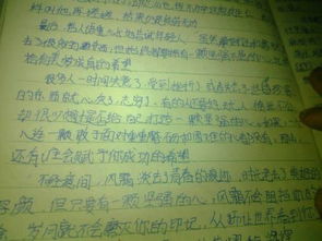 關(guān)于校園暴力的議論文作文1000字