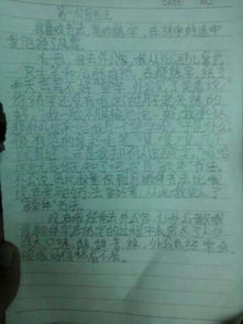 校園變美了作文兩百字作文