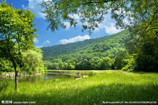 新校園新環(huán)境作文評講課件