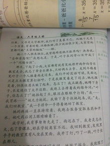 清晨雨中校園作文400字