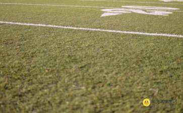 我的校園作文在操場上的事件