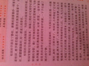 我的校園新生活作文500字