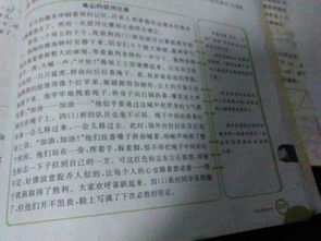 八級(jí)上冊(cè)校園作文