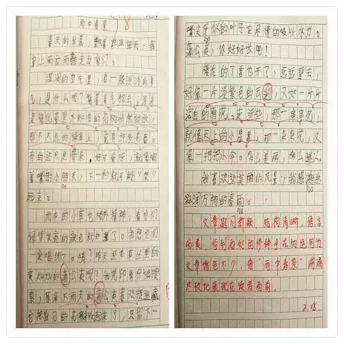 介紹丹城校園四小作文