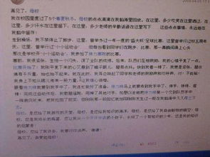 校園活動(dòng)生活作文的開頭