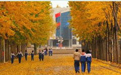 校園記事作文600字,校園記事作文400字,校園記事作文500字