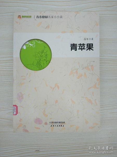 青春校園作文小說