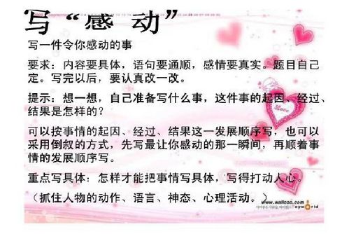 作文,感動,校園,事寫篇