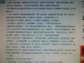 新聞報(bào)道校園運(yùn)動會英語作文