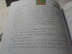 作文,豐富多彩,校園,百字