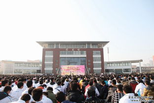 校園文明實踐心得體會作文