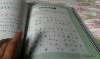 關(guān)于校園的作文題目自擬,關(guān)于綠色校園作文題目自擬,以校園為主題的作文題目自擬