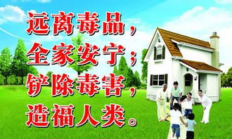 禁毒知識進(jìn)校園800字作文