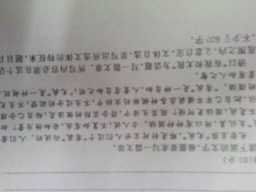 作文,真美,春天,校園