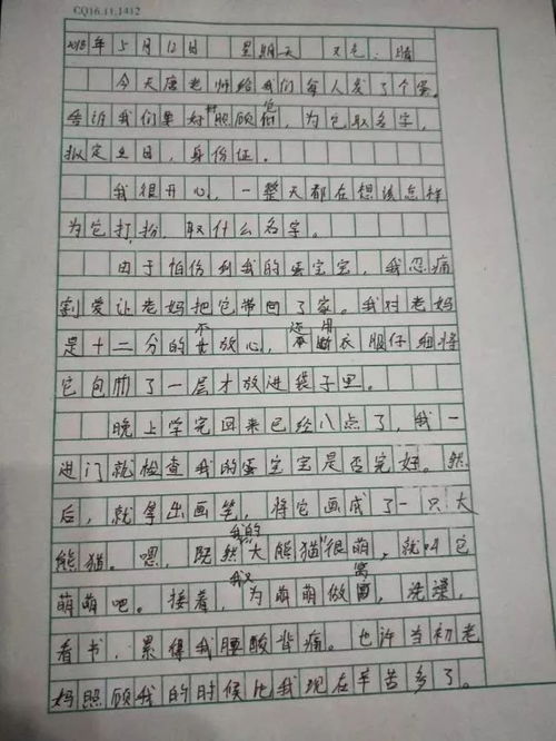 校園的自然力量作文