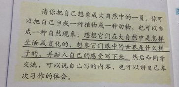 校園里的小草作文200字作文怎么寫