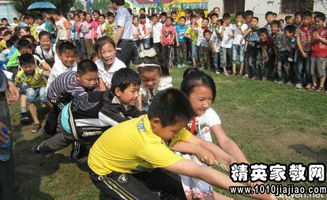 校園活動作文350