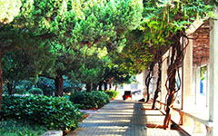 作文,雨中,早晨,校園