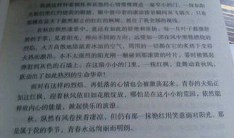 校園四季3o0字作文